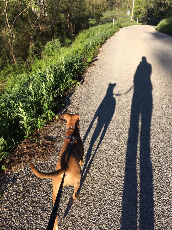 18446853_10154545975992405_6828465357456604629_n