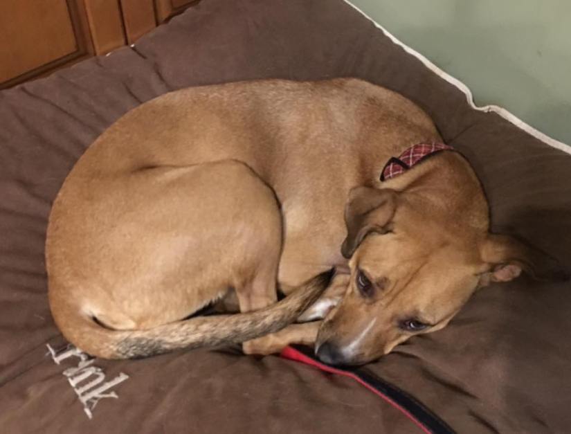 22539994_10155016803047405_3206290840192649412_n