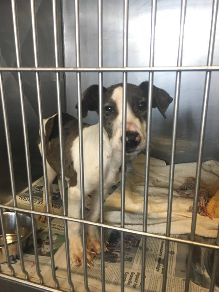 5fc77a3a39ab43d5c7b3e1adc7b4b99fe55f7680