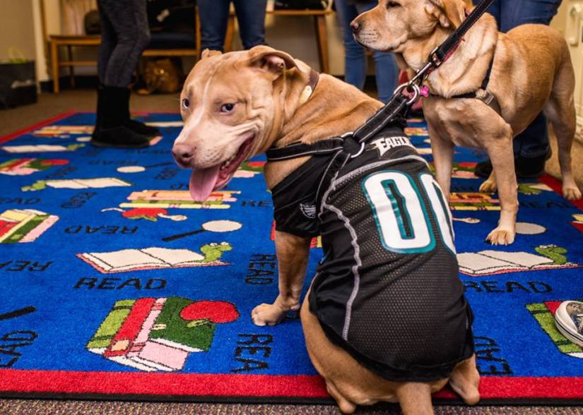 27540982_10214151313528058_5633501610994741271_n