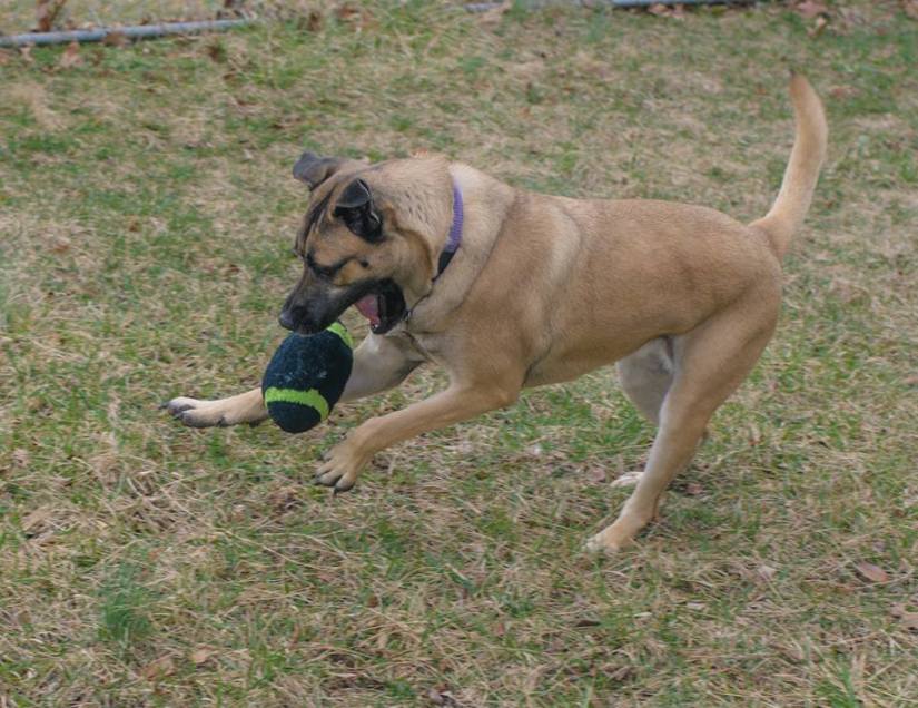 28378460_10214367466691752_1464738531867840266_n