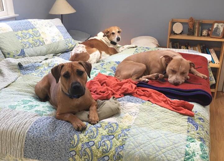 30414630_10155467933517405_5170288601656721408_n (2)