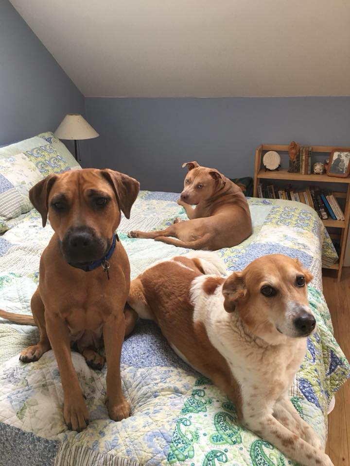 31206368_10155506394657405_8141602090049863680_n (1)