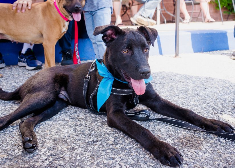 32235384_10214923964003837_1338974814945148928_o