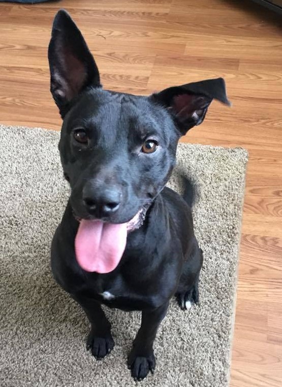 162882a4d6a5d964ece435c786751e37ef41da26