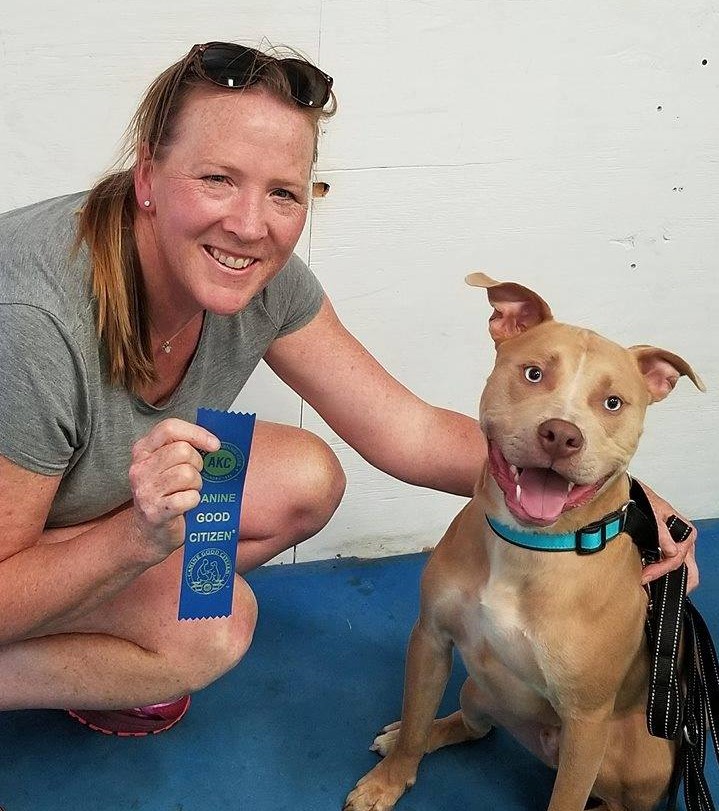 canine good citizen (2)