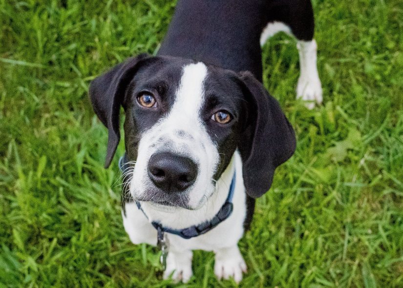 38130817_10215490242200438_1290692630849519616_o