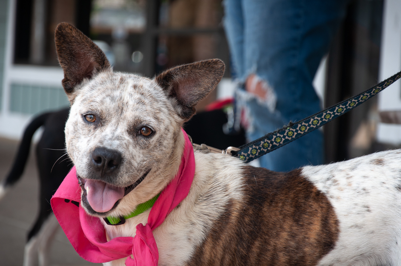 c13eaa9b6f73826eae6b5854461f6f4cd21b59df