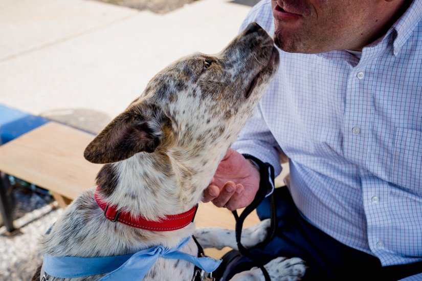 37533623_10215417825790073_2056981183765413888_o