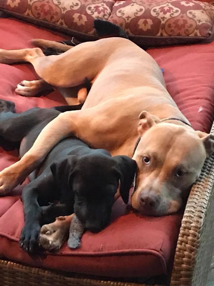 39223313_10212293069266525_8624395627171676160_n