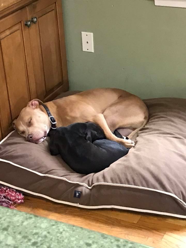 39468010_10212318934233133_2378920778243506176_n