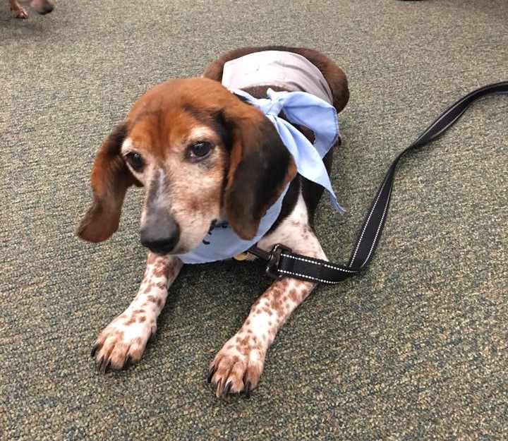 40139839_10155792946687405_2263604363794579456_n