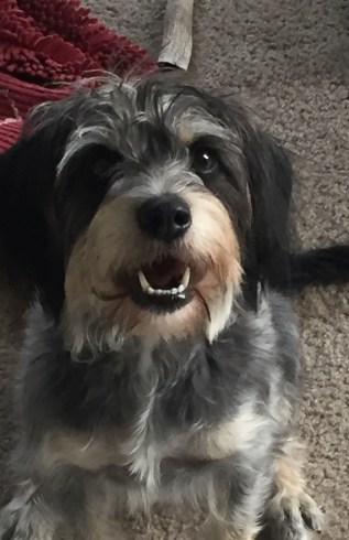 ade3df41362e63fc604899379eef293c24f543ff