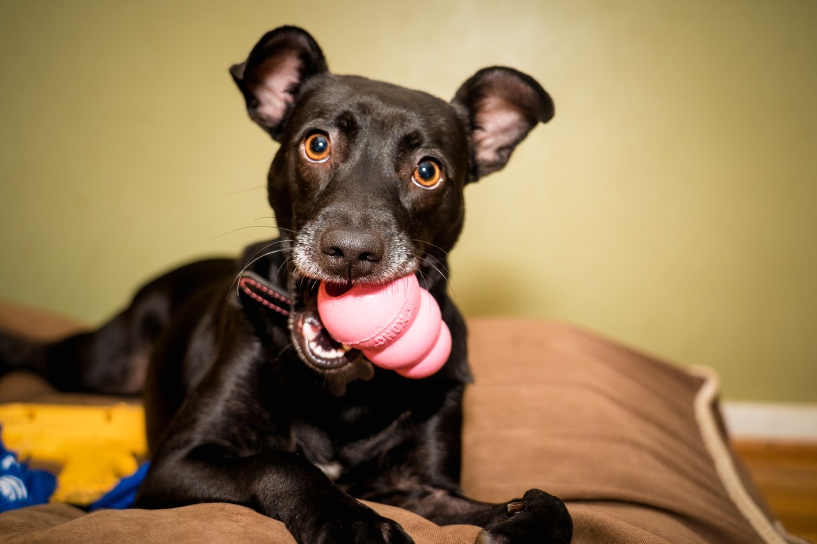 Dixieland and Flannery-18