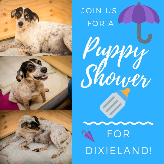 Puppy Shower