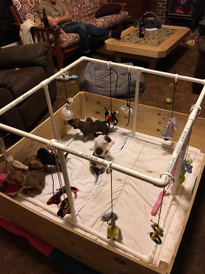 44315177_10155908363517405_7660590929996152832_n