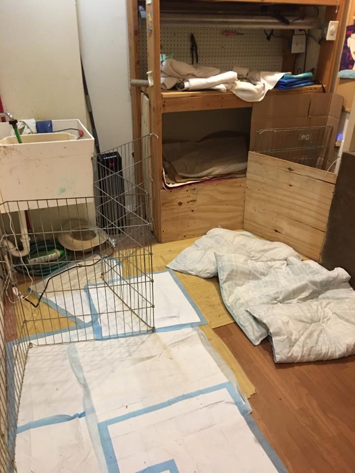 44402574_10155908363502405_7416325965095108608_n