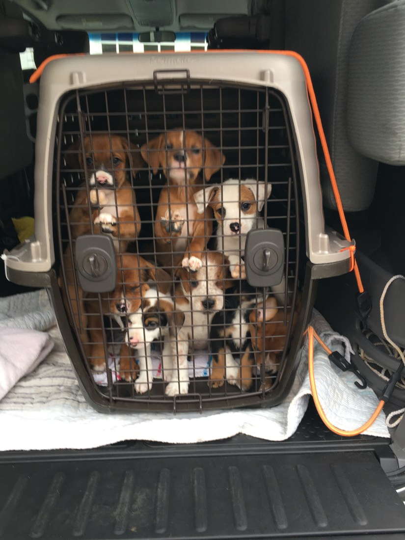 20181112_144632883_iOS