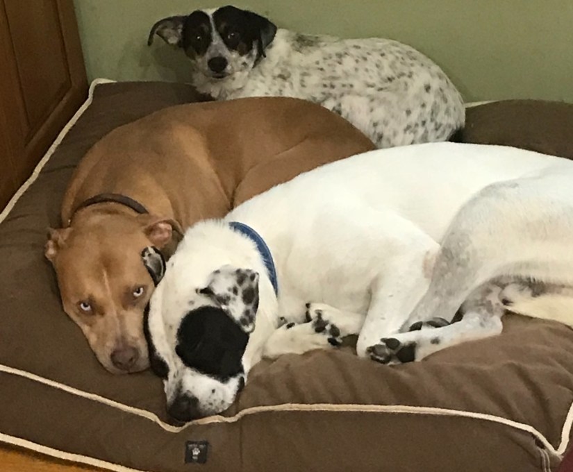 20181115_135404682_iOS