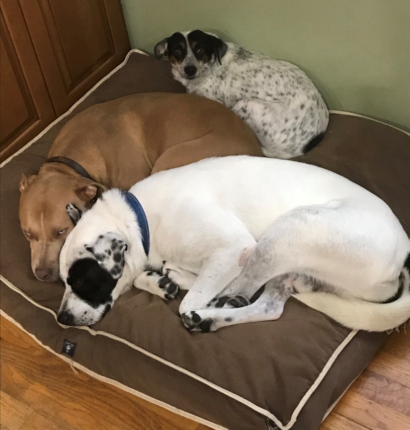 20181115_135428779_iOS