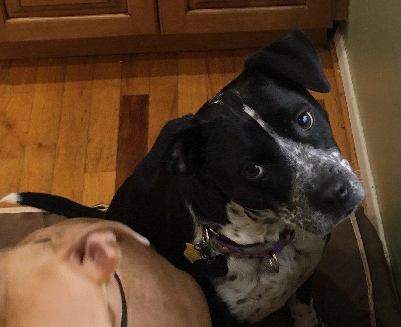 20181216_154021935_iOS