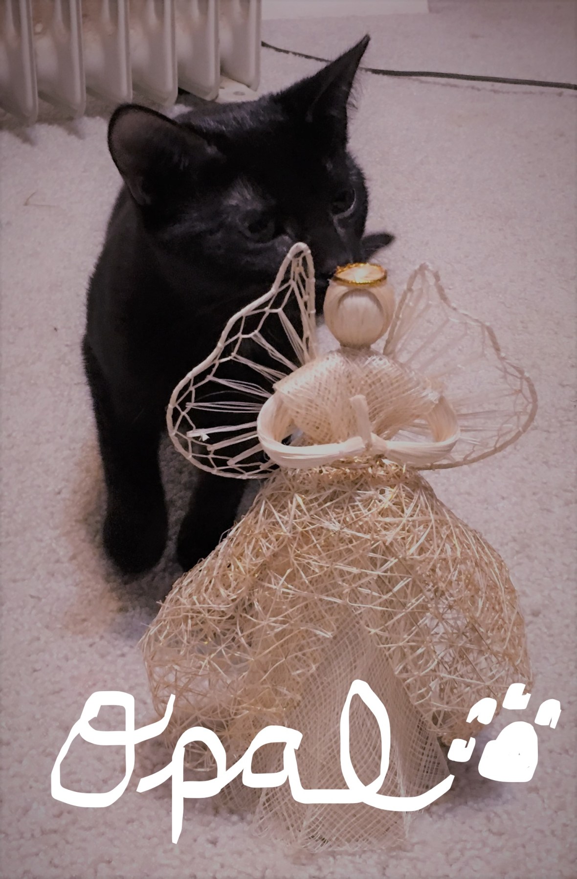 20181224_171145786_iOS_LI