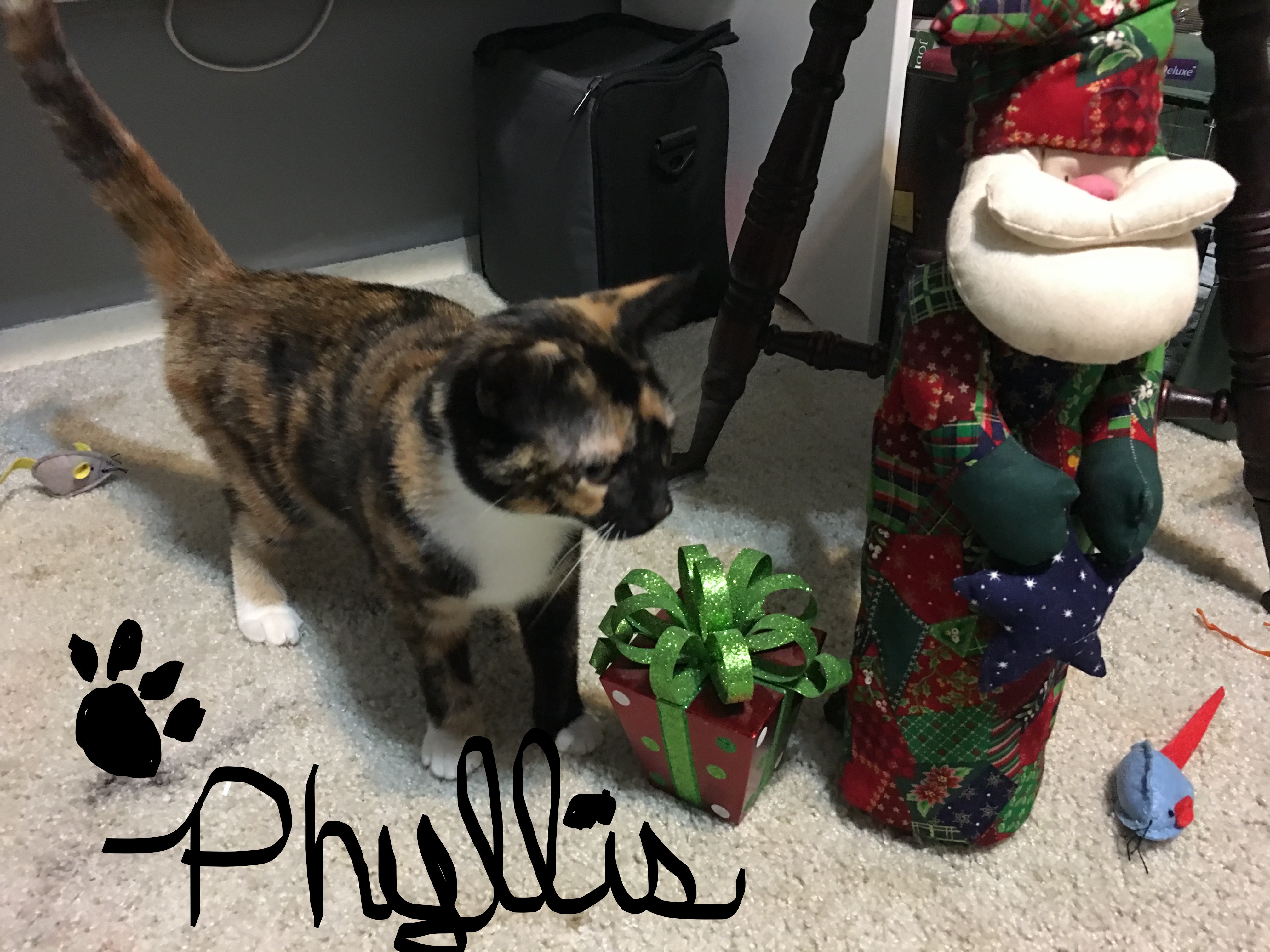 20181224_171524410_iOS_LI