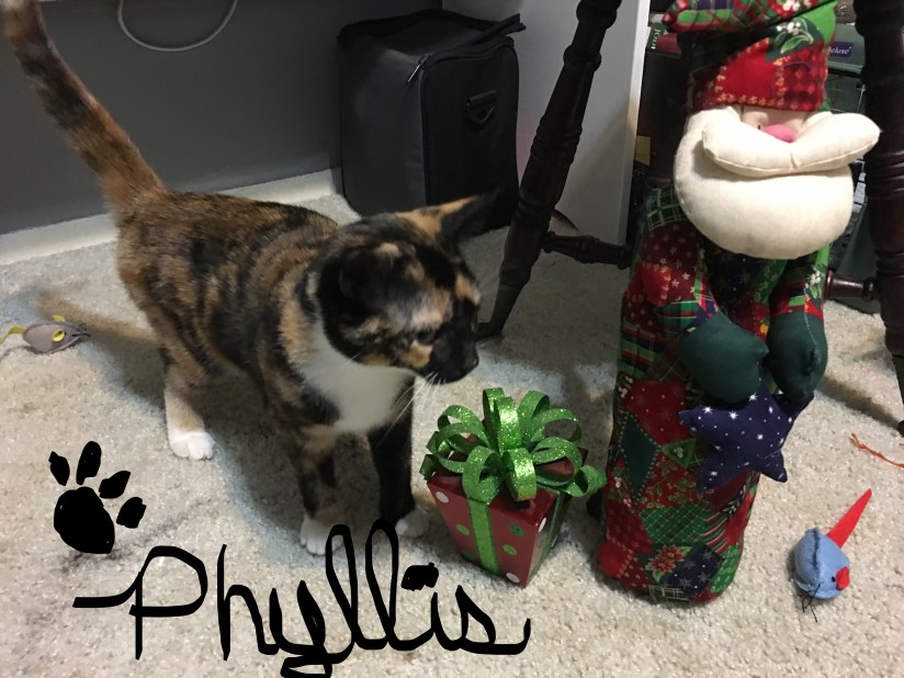 20181224_171524410_iOS_LI