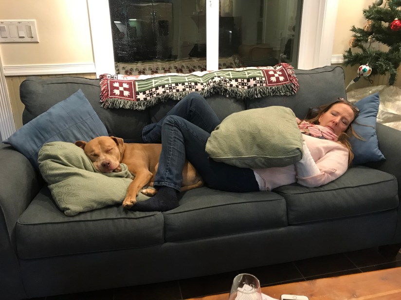 20181226_232208770_iOS