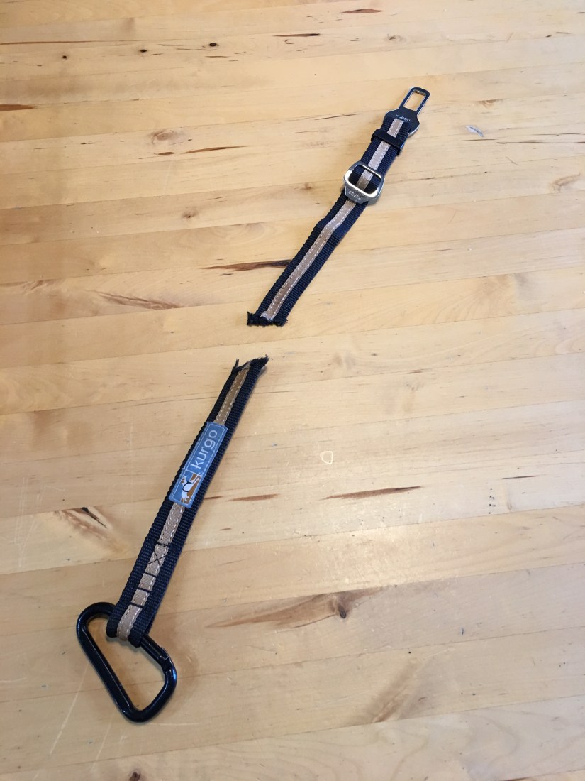 20181231_174933999_iOS