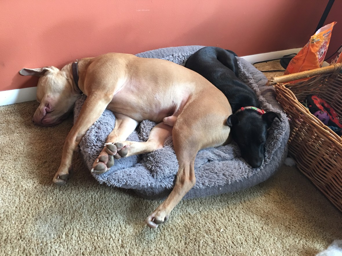 20190104_162158920_ios