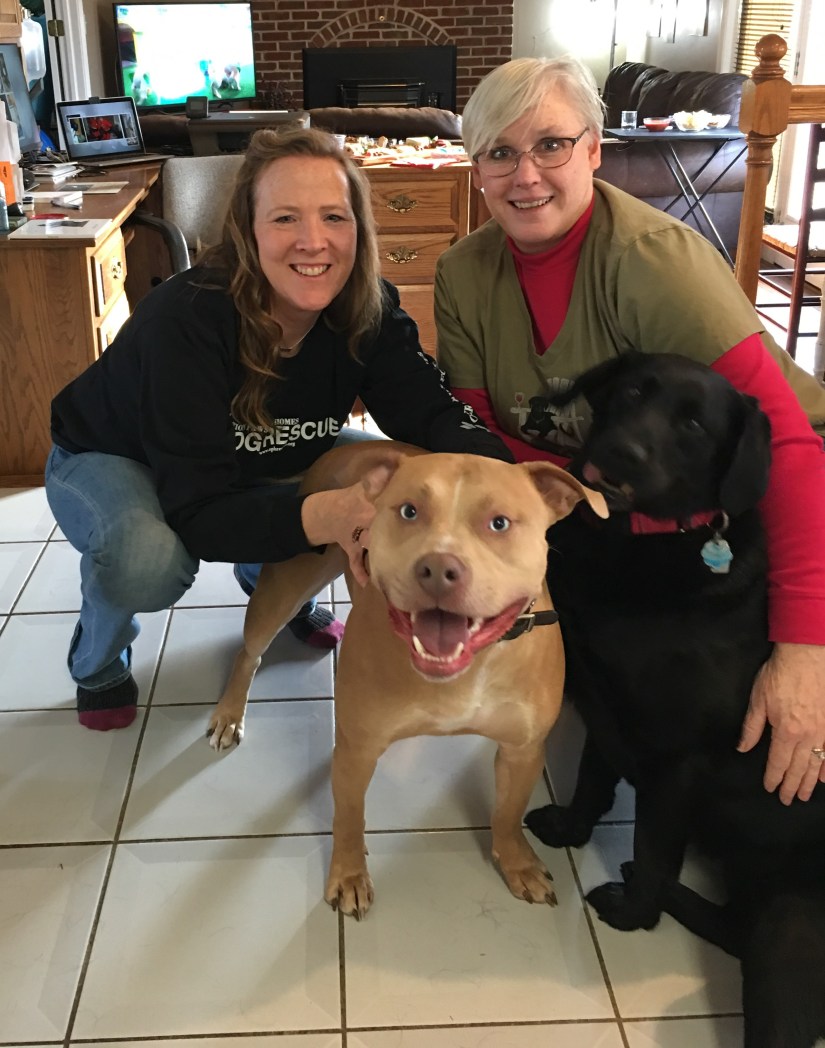 20190203_202442589_iOS