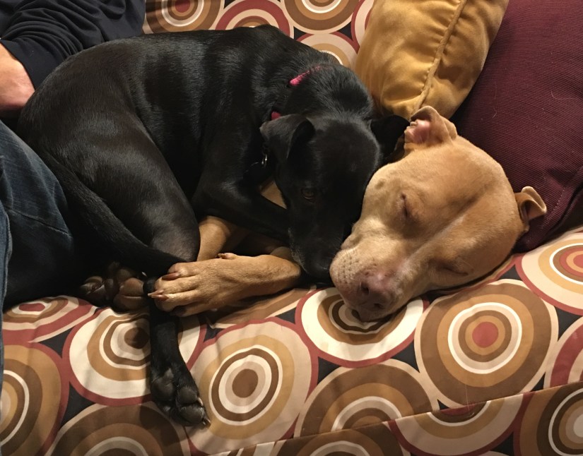 20190208_005704835_iOS