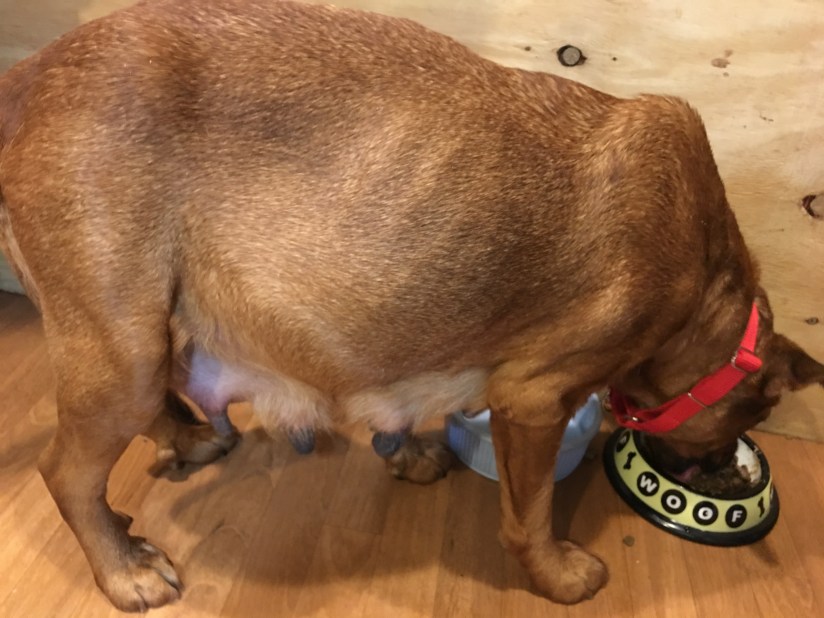 20190210_134504379_iOS