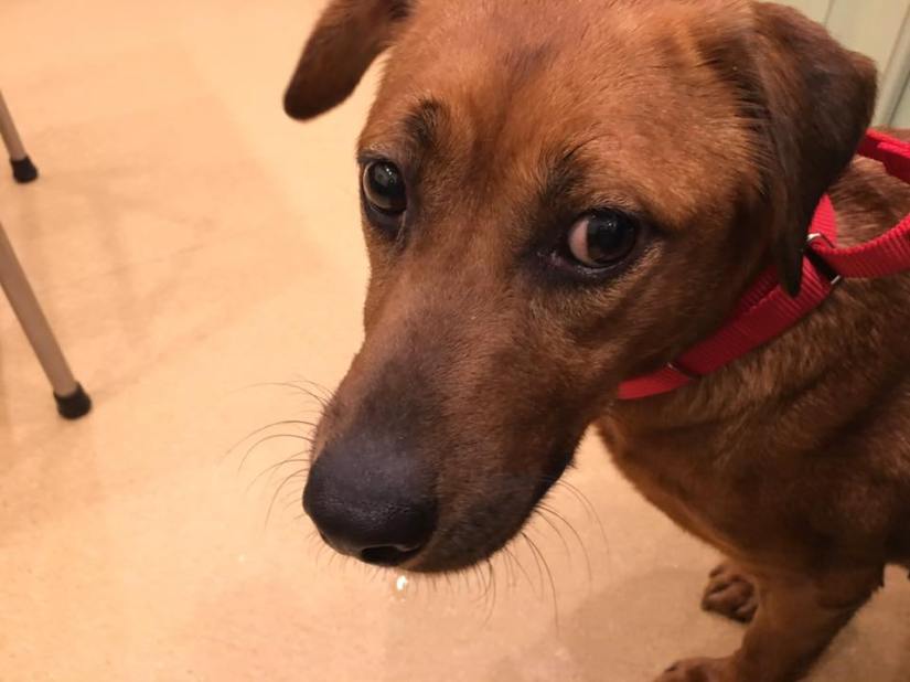 51804027_1067344190104359_3120119343396945920_n