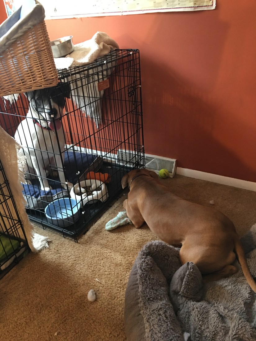 20190311_123939699_iOS