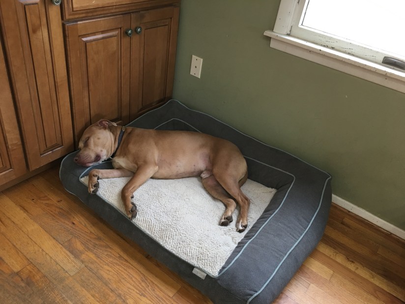 20190317_170956945_iOS