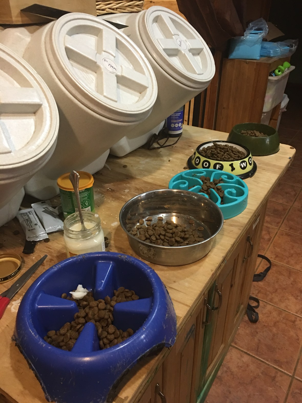 20190325_105918191_iOS