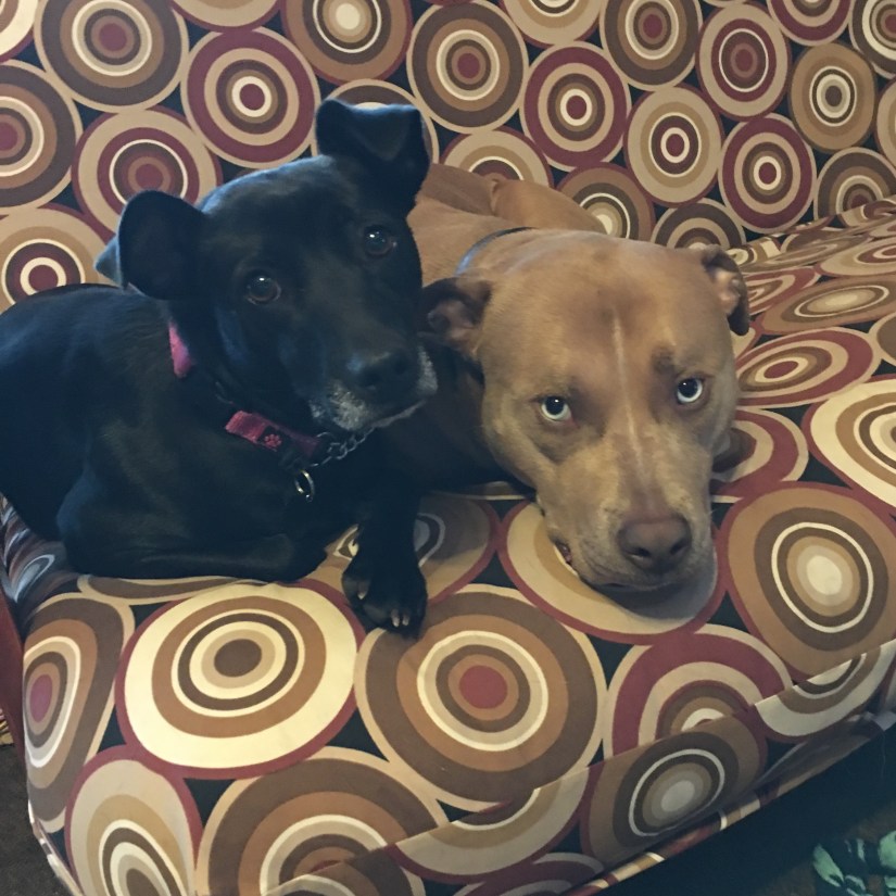 20190326_111601816_iOS (2)