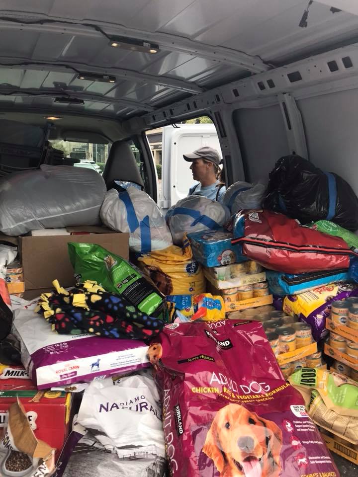 40525472_973746059464173_7635257774070300672_n