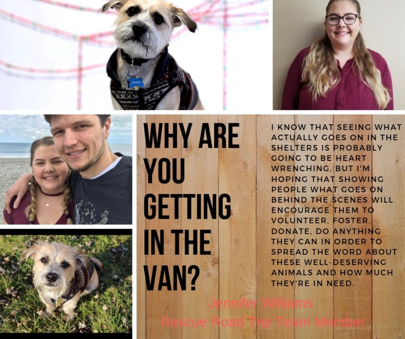 jennifer Williams why