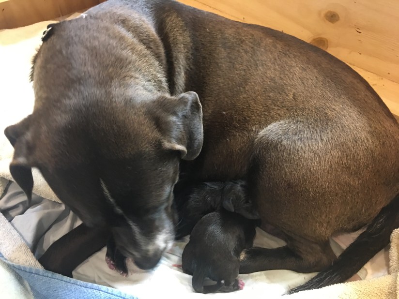 20190416_141506128_iOS