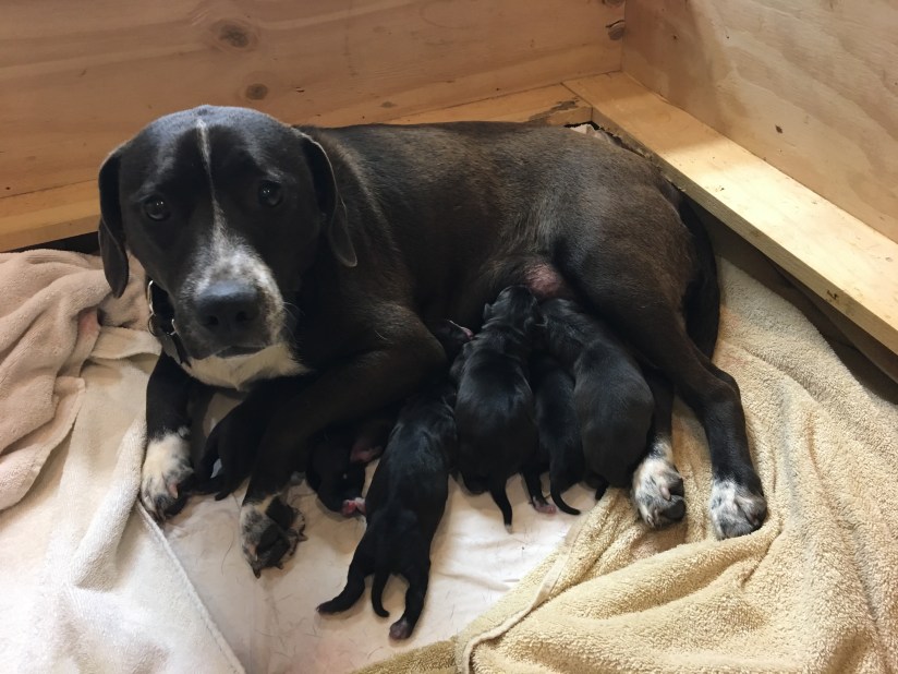 20190416_174229458_iOS