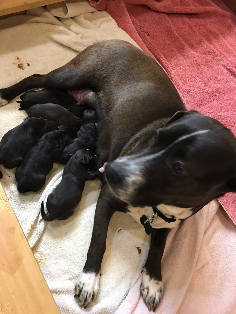 20190417_162304312_iOS