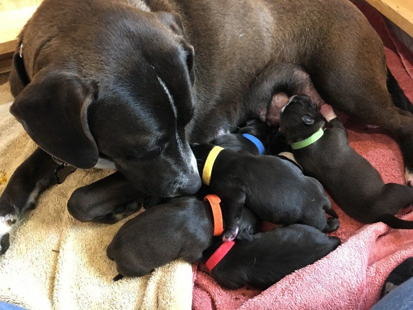 20190418_221830700_iOS