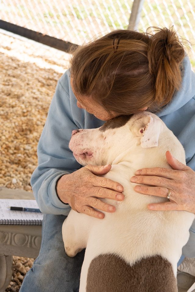 55882254_2293644370917096_7166500593798742016_n