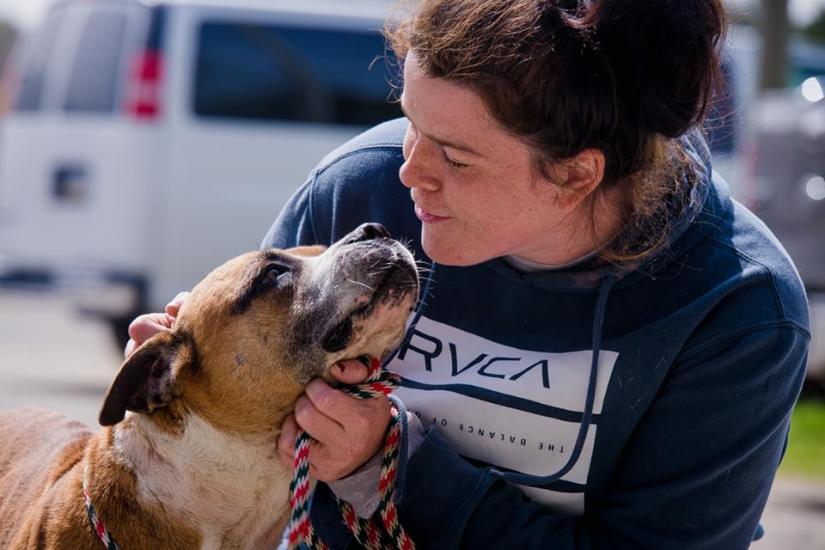 56508786_2292725817675618_1403261816712200192_n