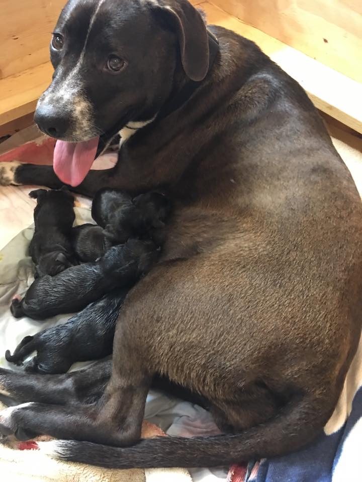 57191804_1103932389778872_2755143601087315968_n