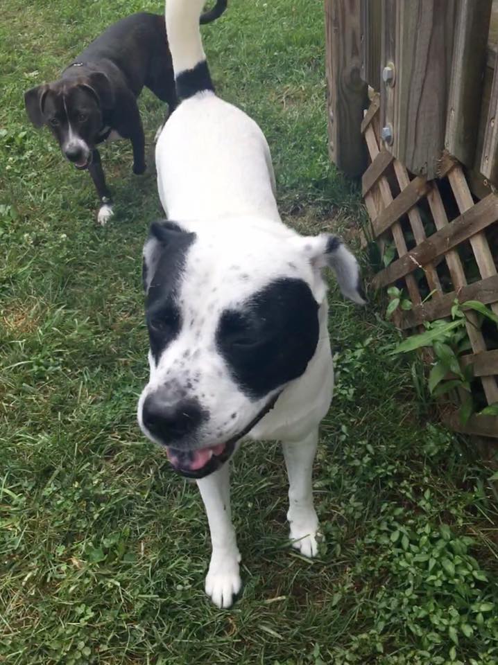 66355317_10156500218972405_3905053440266469376_n