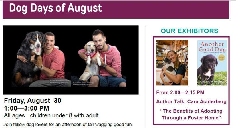 dog days at hereford